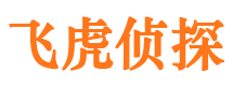 大余市侦探调查公司